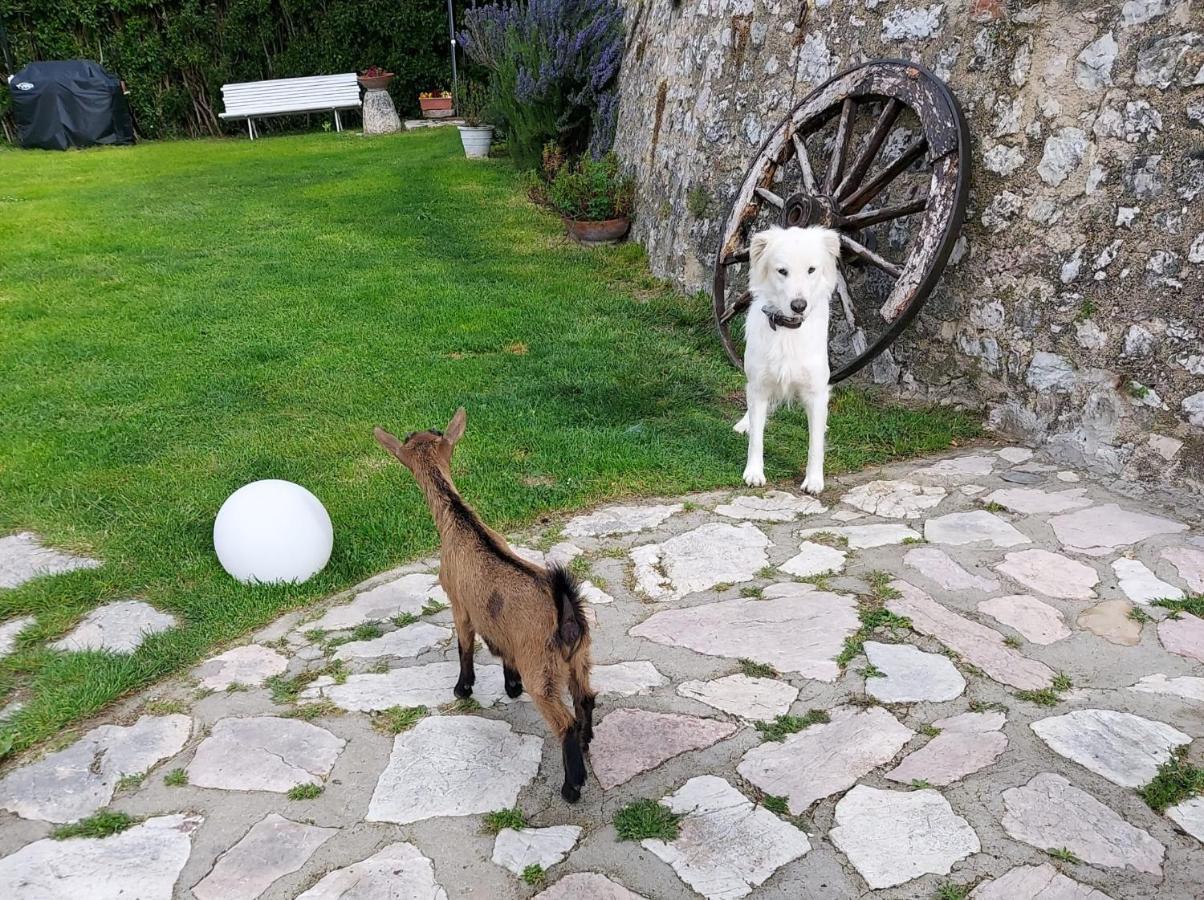 Agriturismo Campagna In Compagnia Vallo di Nera ภายนอก รูปภาพ