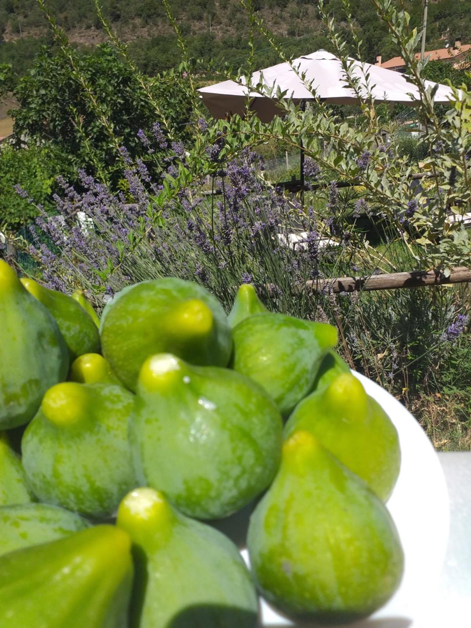 Agriturismo Campagna In Compagnia Vallo di Nera ภายนอก รูปภาพ