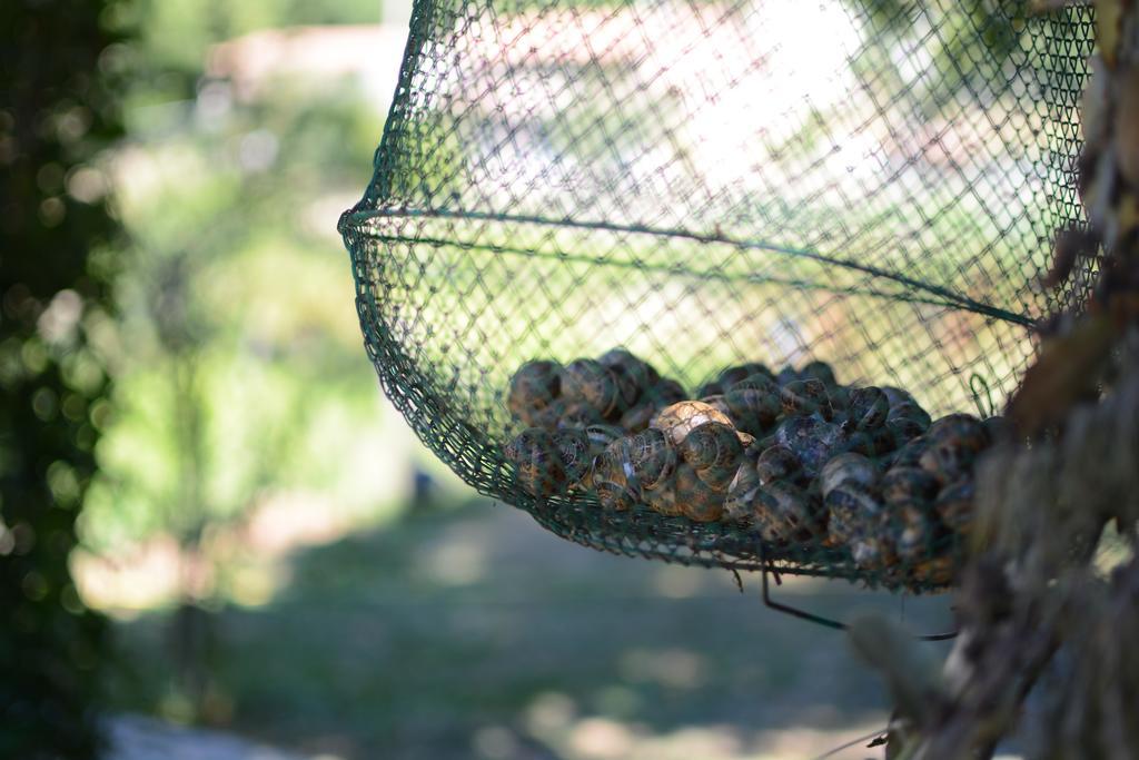 Agriturismo Campagna In Compagnia Vallo di Nera ภายนอก รูปภาพ