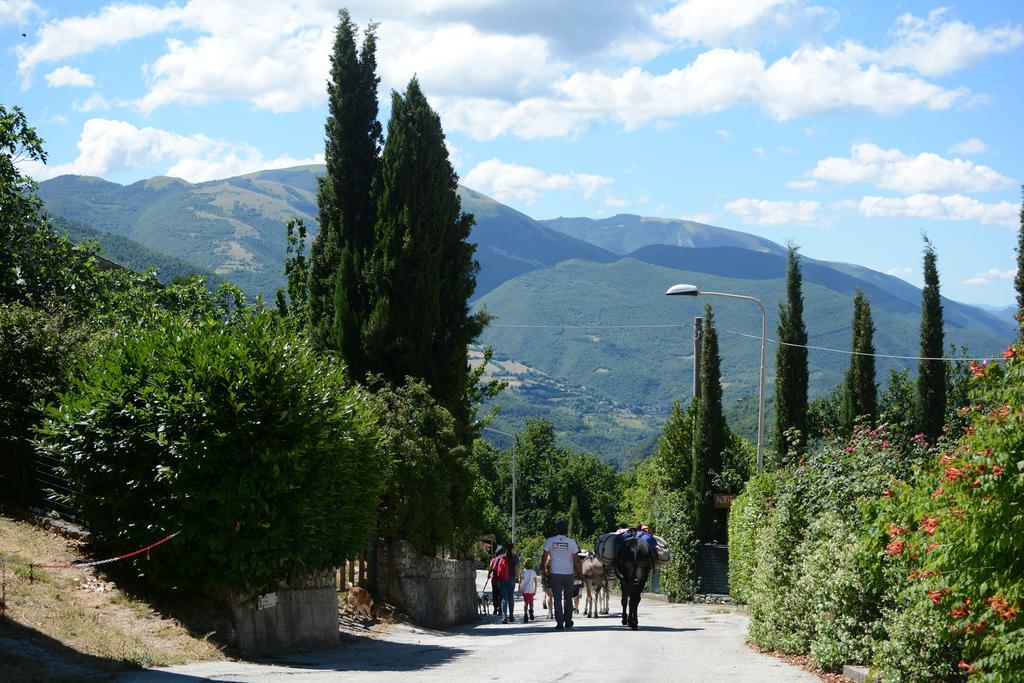 Agriturismo Campagna In Compagnia Vallo di Nera ภายนอก รูปภาพ