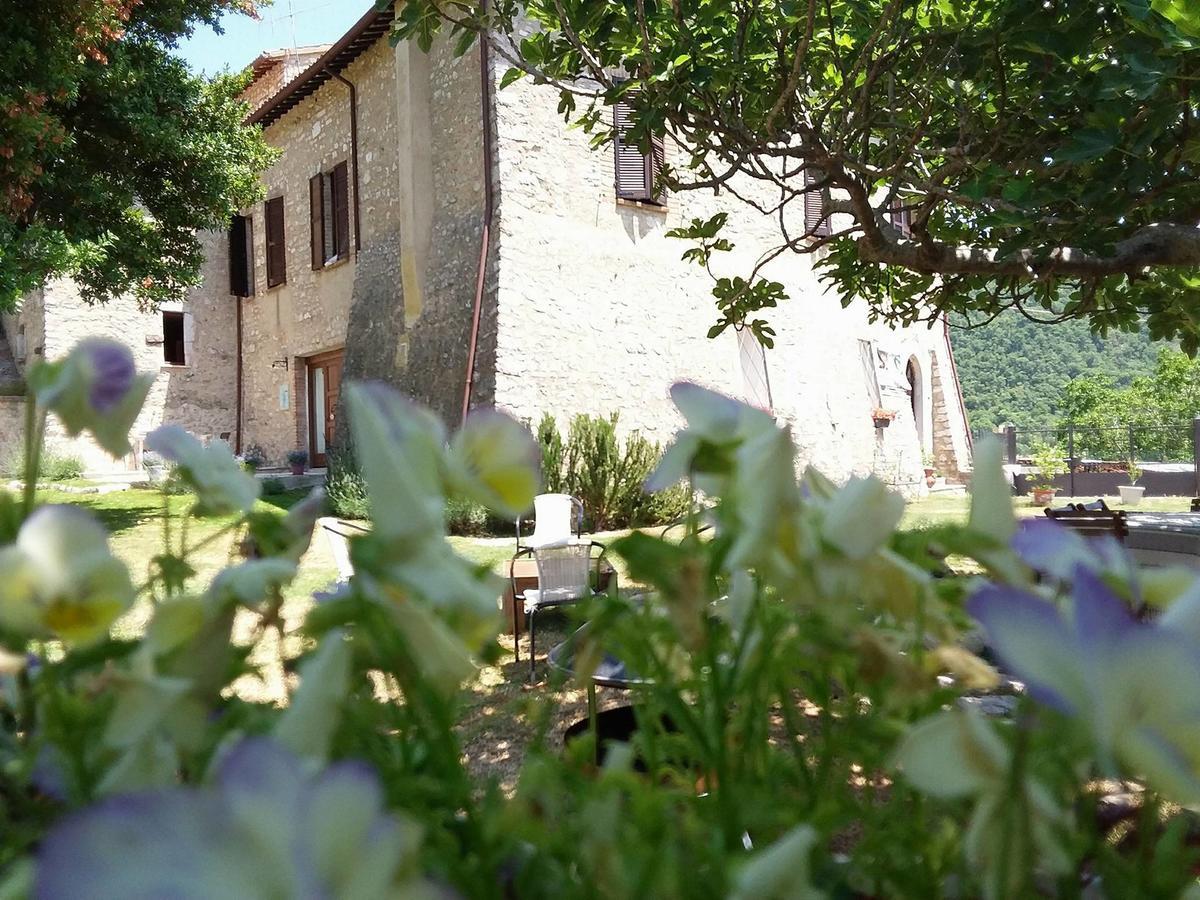 Agriturismo Campagna In Compagnia Vallo di Nera ภายนอก รูปภาพ
