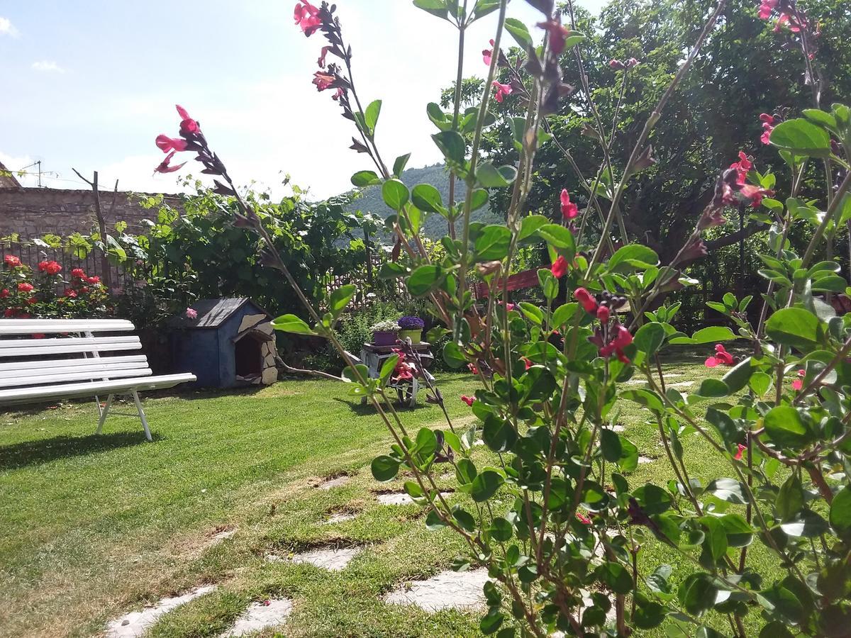 Agriturismo Campagna In Compagnia Vallo di Nera ภายนอก รูปภาพ