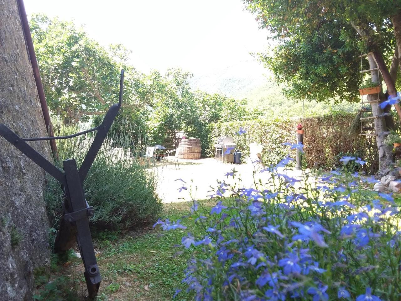 Agriturismo Campagna In Compagnia Vallo di Nera ภายนอก รูปภาพ